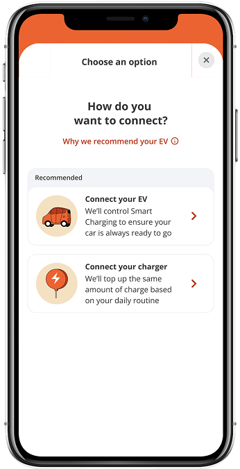 Step 6- Choose how you want to connect (if offered).png